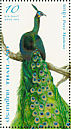 Green Peafowl Pavo muticus  2008 Peacocks Sheet