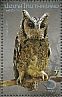 Collared Scops Owl Otus lettia  2013 Owls Sheet