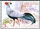 Siamese Fireback Lophura diardi  2015 Thailand - Korea N diplomatic relations 