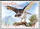 Northern Goshawk Accipiter gentilis  2015 Thailand - Korea N diplomatic relations 