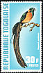 Togo Paradise Whydah Vidua togoensis  1972 Exotic birds 