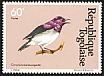 Violet-backed Starling Cinnyricinclus leucogaster  1981 Birds 