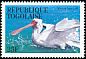 African Spoonbill Platalea alba  1995 Birds 