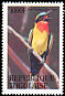Red-throated Bee-eater Merops bulocki  1995 Birds 