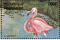 Lesser Flamingo Phoeniconaias minor  1995 African animals 9v sheet