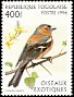 Common Chaffinch Fringilla coelebs  1996 Exotic birds 