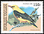 Eurasian Golden Oriole Oriolus oriolus