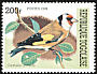 European Goldfinch Carduelis carduelis  1999 Songbirds 