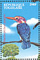 African Pygmy Kingfisher Ispidina picta