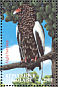 Bateleur Terathopius ecaudatus  2000 Wildlife of Africa 8v sheet