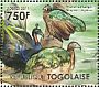 Congo Peafowl Afropavo congensis  2011 The Congo bassin 4v sheet