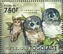 African Wood Owl Strix woodfordii  2011 African owls Sheet