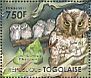 Southern White-faced Owl Ptilopsis granti  2011 African owls Sheet