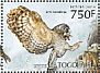 African Wood Owl Strix woodfordii  2013 Owls Sheet