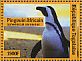 African Penguin Spheniscus demersus  2014 Birds of Africa  MS