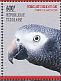 Grey Parrot Psittacus erithacus  2014 Grey Parrot Sheet