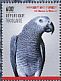 Grey Parrot Psittacus erithacus  2014 Grey Parrot Sheet with 3 sets