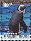 African Penguin Spheniscus demersus  2014 African Penguin Sheet