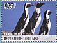 African Penguin Spheniscus demersus  2014 African Penguin Sheet