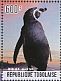 African Penguin Spheniscus demersus  2014 African Penguin Sheet