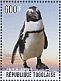 African Penguin Spheniscus demersus  2014 African Penguin Sheet