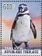 African Penguin Spheniscus demersus  2014 African Penguin Sheet