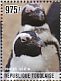 African Penguin Spheniscus demersus  2014 African Penguin Sheet