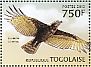 Brown Snake Eagle Circaetus cinereus  2013 Eagles Sheet