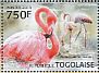 Greater Flamingo Phoenicopterus roseus  2013 Flamingos Sheet