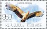 Palm-nut Vulture Gypohierax angolensis  2013 Raptors Sheet