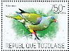 African Green Pigeon Treron calvus