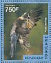 Steppe Eagle Aquila nipalensis  2014 Eagles Sheet