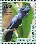 Palm Cockatoo Probosciger aterrimus  2014 Birds Sheet