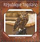 Spotted Eagle-Owl Bubo africanus  2014 Owls Sheet