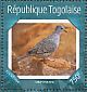 Inca Dove Columbina inca  2014 Pigeons Sheet