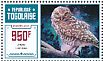 Burrowing Owl Athene cunicularia  2015 Owls Sheet