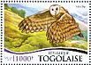 Western Barn Owl Tyto alba  2015 Owls Sheet