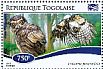 Spectacled Owl Pulsatrix perspicillata  2015 Owls Sheet