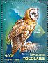 Ashy-faced Owl Tyto glaucops  2015 Owls Sheet