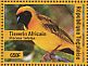 Southern Masked Weaver Ploceus velatus  2014 Birds of Africa Sheet