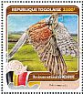 Common Kestrel Falco tinnunculus  2016 National bird of Belgium  MS