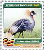 Grey Crowned Crane Balearica regulorum