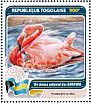 American Flamingo Phoenicopterus ruber  2016 Fauna of the world Sheet