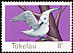 White Tern Gygis alba  1977 Birds of Tokelau 