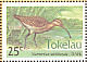 Bristle-thighed Curlew  Numenius tahitiensis