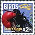 Great Frigatebird Fregata minor  2017 Birds of Tokelau 