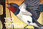 Pacific Swallow Hirundo tahitica  1997 Pacific 97  MS