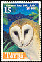 Eastern Barn Owl Tyto javanica  1998 Birds 