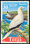 Red-footed Booby Sula sula  1998 Birds 