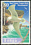 Red-tailed Tropicbird Phaethon rubricauda  1998 Birds 